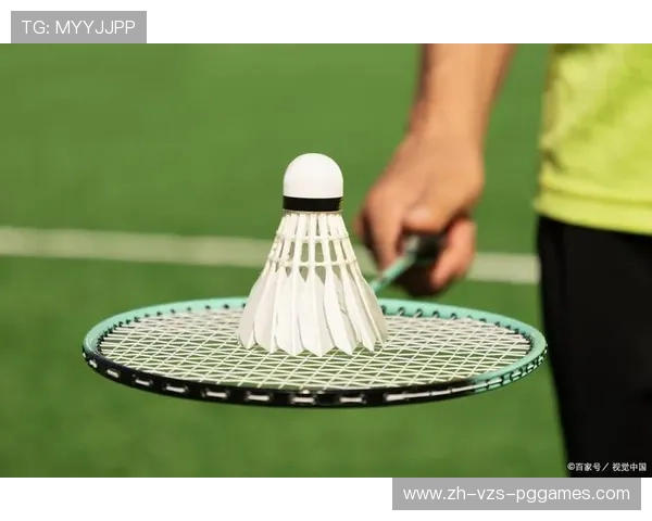 羽毛球能打什么球