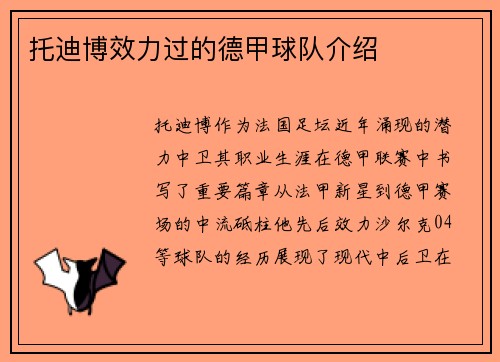 托迪博效力过的德甲球队介绍