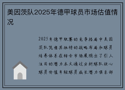 美因茨队2025年德甲球员市场估值情况